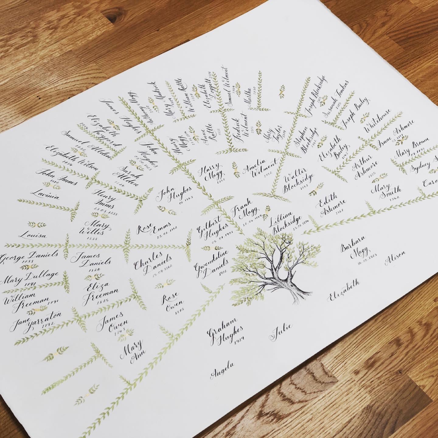 Hand-lettered family tree artwork in olive ink